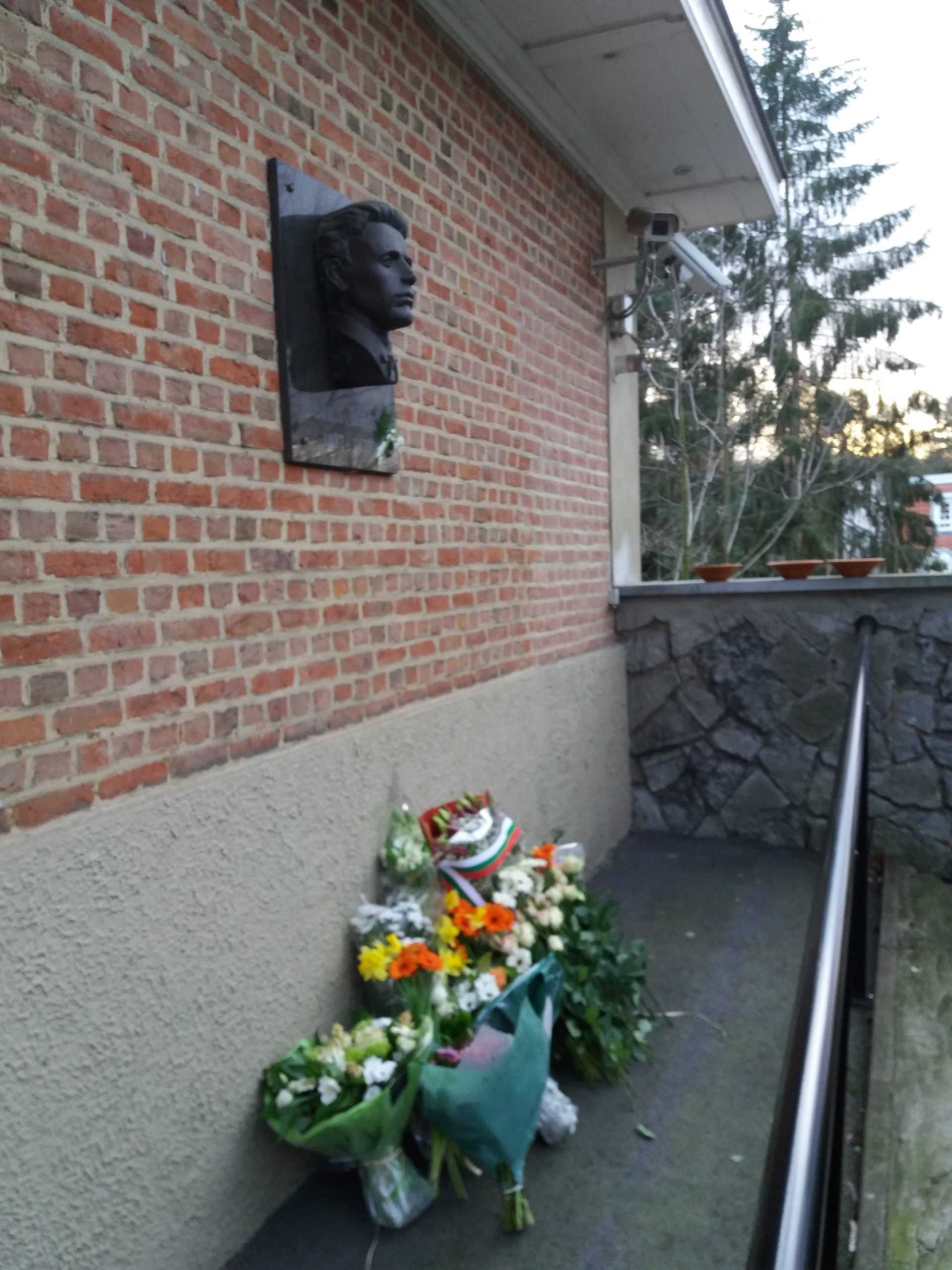 Barelef s tzvetja